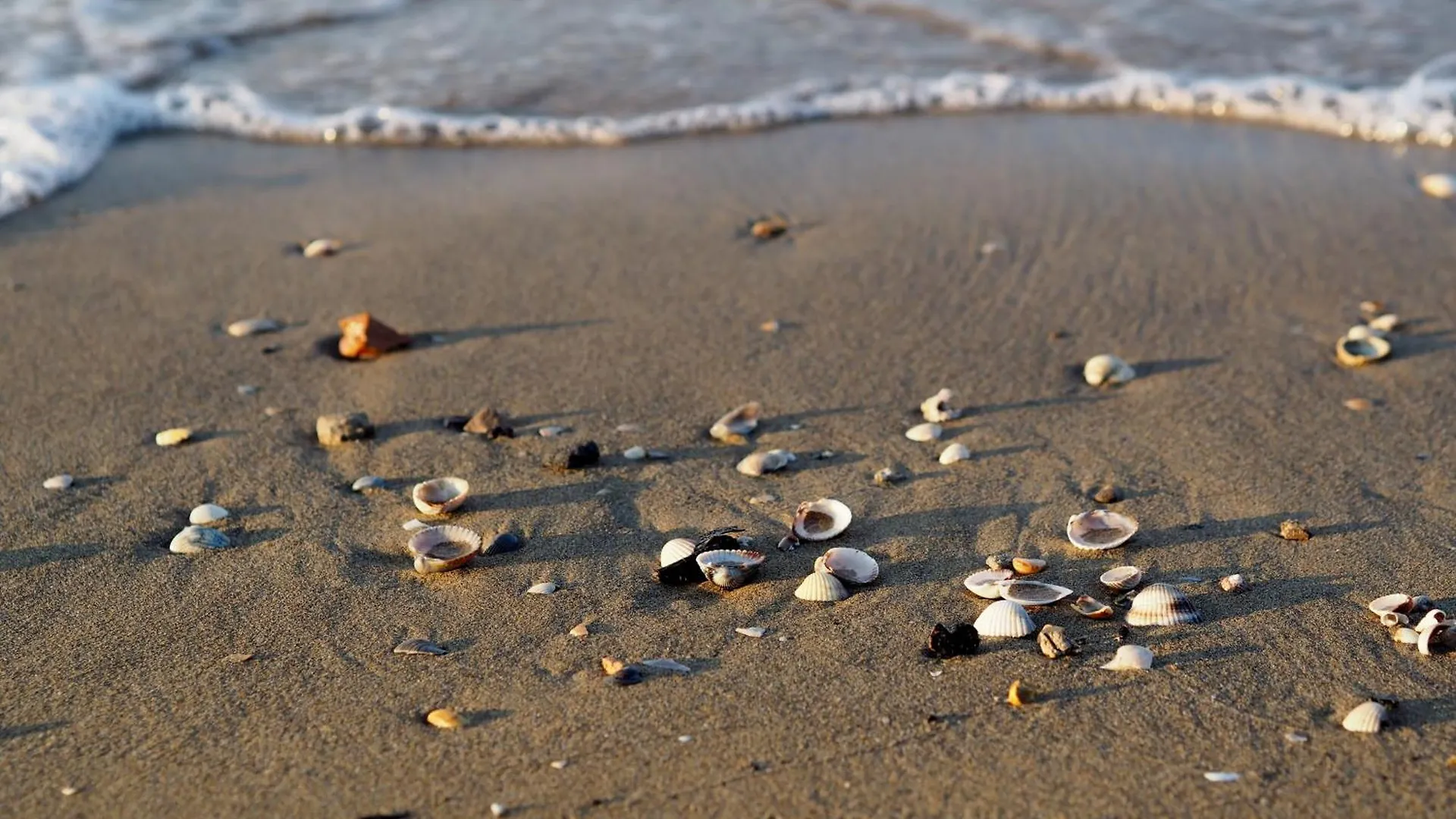 Apartmán Family-Friendly Poolside Tranquility Bibione